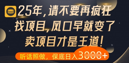 什么？25年你还在疯狂找项目做，醒醒吧，看完这些你全都懂了【揭秘】_孤风隐库