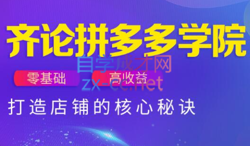 齐论拼多多vip课程_孤风隐库