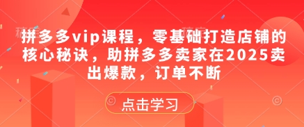 拼多多vip课程，零基础打造店铺的核心秘诀，助拼多多卖家在2025卖出爆款，订单不断_孤风隐库