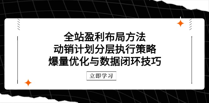 全站盈利布局方法：动销计划分层执行策略，爆量优化与数据闭环技巧_孤风隐库