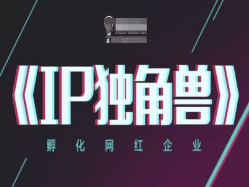 IP独角兽，孵化网红企业，ip教程_孤风隐库