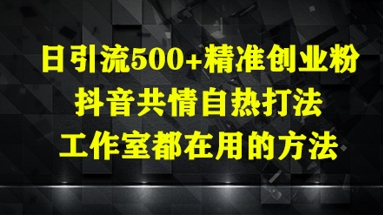 日引流500+精准创业粉，抖音共情自热打法，工作室都在用的方法_孤风隐库
