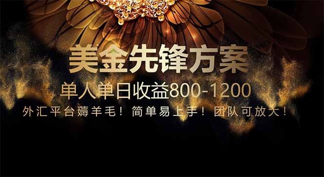 免费技术！小众赛道！一年布局抵三年努力，每日800+_孤风隐库