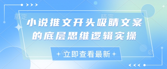 小说推文开头吸睛文案的底层思维逻辑实操_孤风隐库