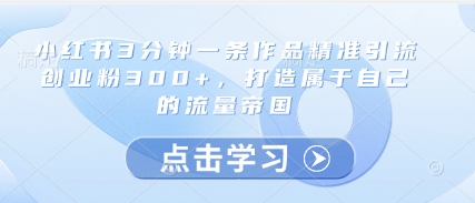 小红书3分钟一条作品精准引流创业粉300+，打造属于自己的流量帝国_孤风隐库