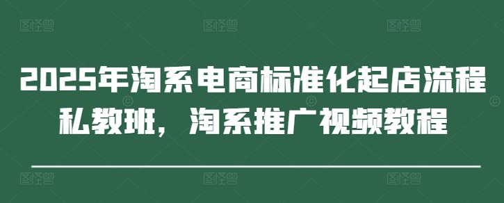 2025年淘系电商标准化起店流程私教班，淘系推广视频教程_孤风隐库