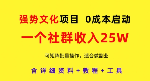强势文化项目，一个社群收入25个W，0成本启动，可矩阵批量操作，原创详细实操教程_孤风隐库