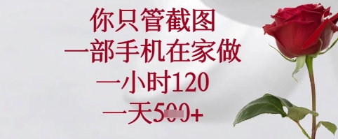 你只管截图，一部手机在家可以做，一小时120.一天5张+【揭秘】_孤风隐库
