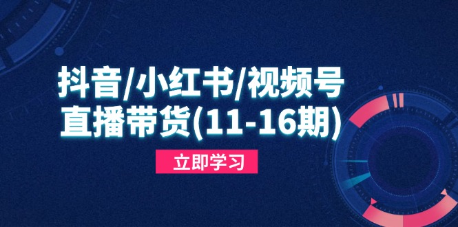 抖音/小红书/视频号/直播带货(11-16期_孤风隐库