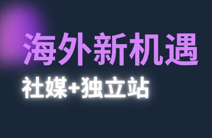 棕榈·2025出海新机遇(社媒+独立站)_孤风隐库
