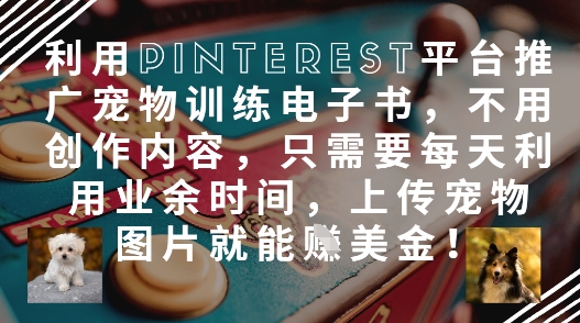 利用Pinterest平台推广宠物训练电子书，不用创作内容，只需要每天利用业余时间，上传宠物图片就能挣美金!_孤风隐库
