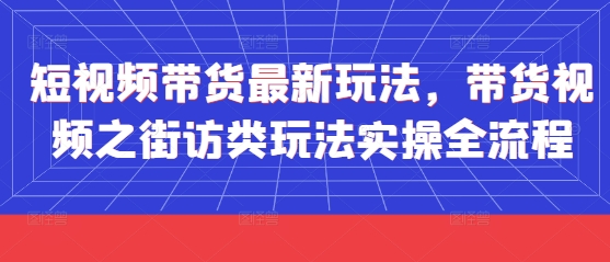 短视频带货最新玩法，带货视频之街访类玩法实操全流程_孤风隐库