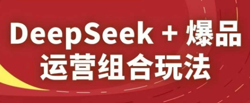 DeepSeek+爆品运营组合玩法，2025淘系精品课_孤风隐库