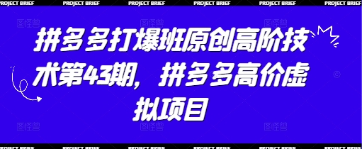 拼多多打爆班原创高阶技术第43期，拼多多高价虚拟项目_孤风隐库