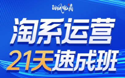 白凤电商·淘系运营21天速成班(更新3月)_孤风隐库