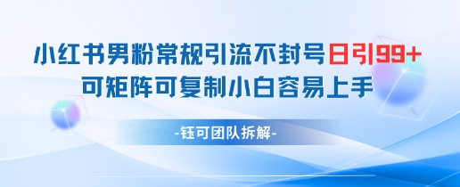 小红书男粉常规引流不封号日引99+变现简单 可矩阵可复制小白容易上手_孤风隐库