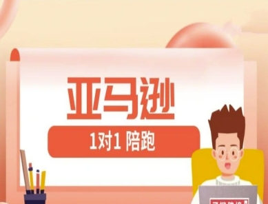 亚马逊1对1陪跑课(FBA/FBM精铺)跨境亚马逊教程_孤风隐库